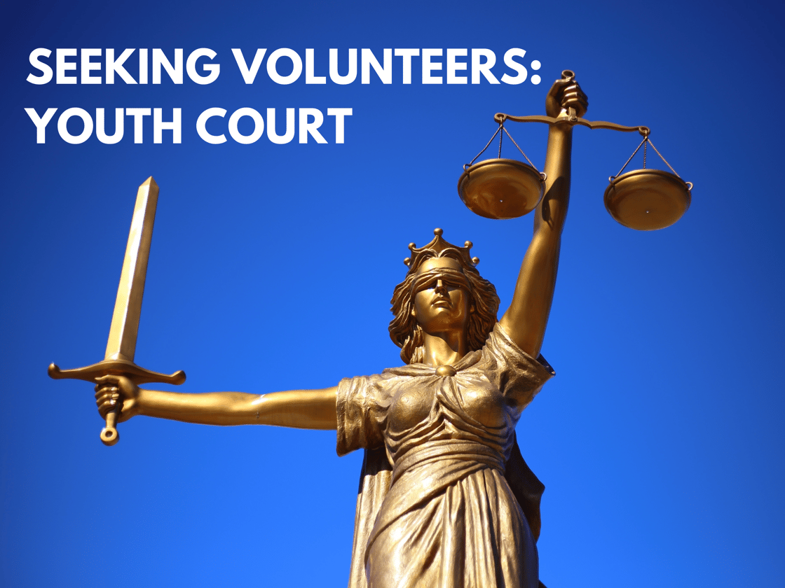 Juvie Court Volunteer 2024-1